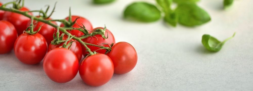 Organically grown tomatoes illustrate the nutritional benefits of organic versus conventional produce for heart health